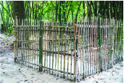 Image of  মো: শাহারিয়ার